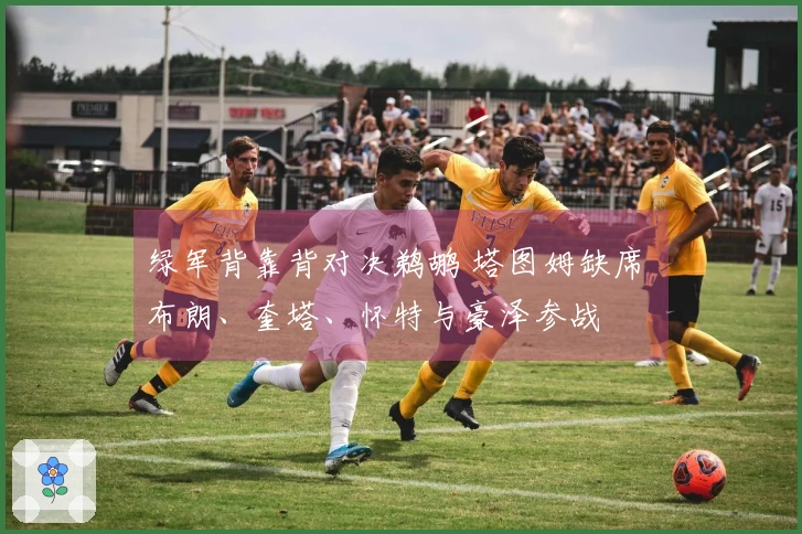 绿军背靠背对决鹈鹕 塔图姆缺席 布朗、奎塔、怀特与豪泽参战